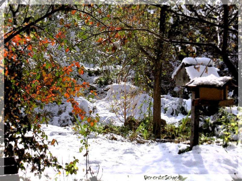 005-Obstgarten im Winter.jpg