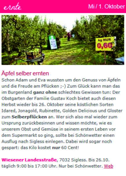 Die Stadtspioin Landpartie